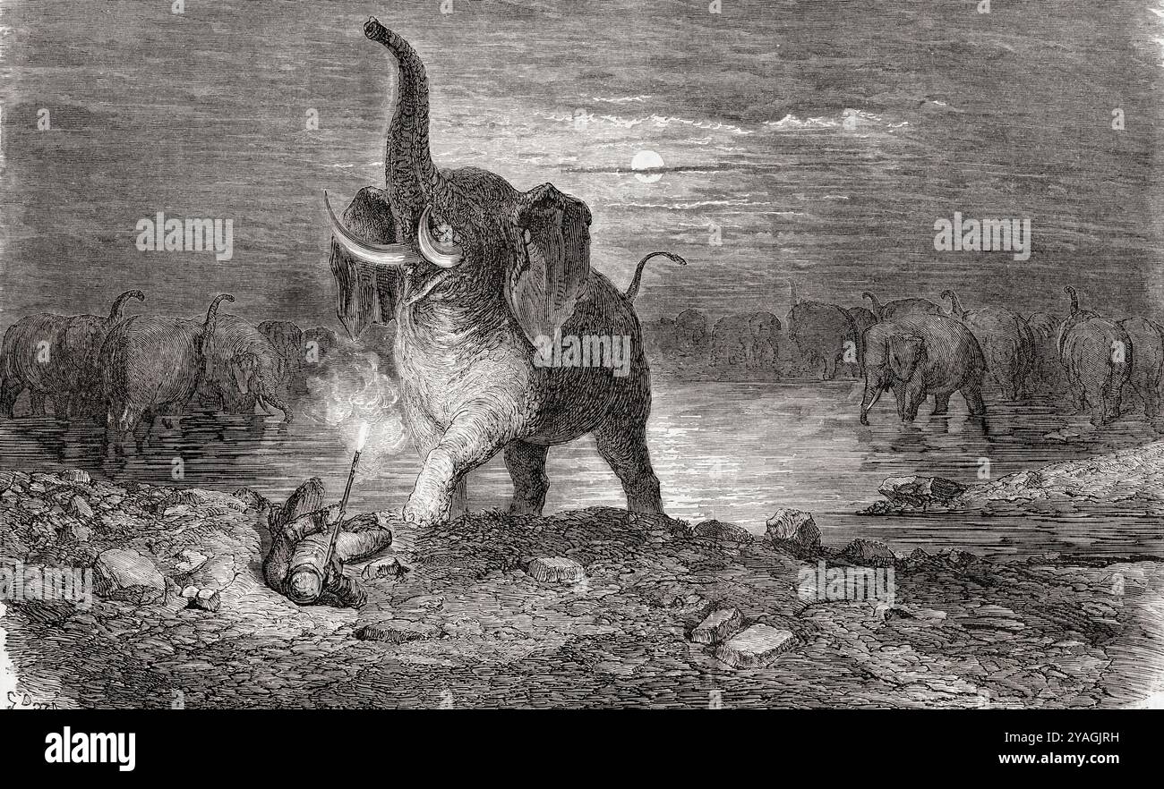 Un cacciatore sorpreso da un elefante, visto durante la spedizione di Charles John Andersson in Sud Africa, 1850 - 1860. Dopo un'incisione di Gustave Doré. Da le Tour du Monde, pubblicato Parigi, 1860. Foto Stock