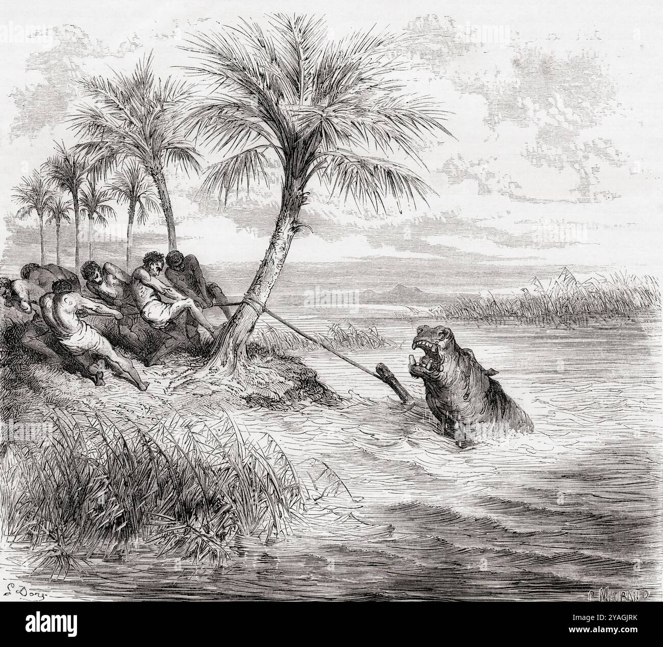 Caccia a un ippopotamo sul fiume Teoghe, affluente del Ngami, visto durante la spedizione di Charles John Andersson in Sud Africa, 1850 - 1860. Da le Tour du Monde, pubblicato Parigi, 1860. Foto Stock