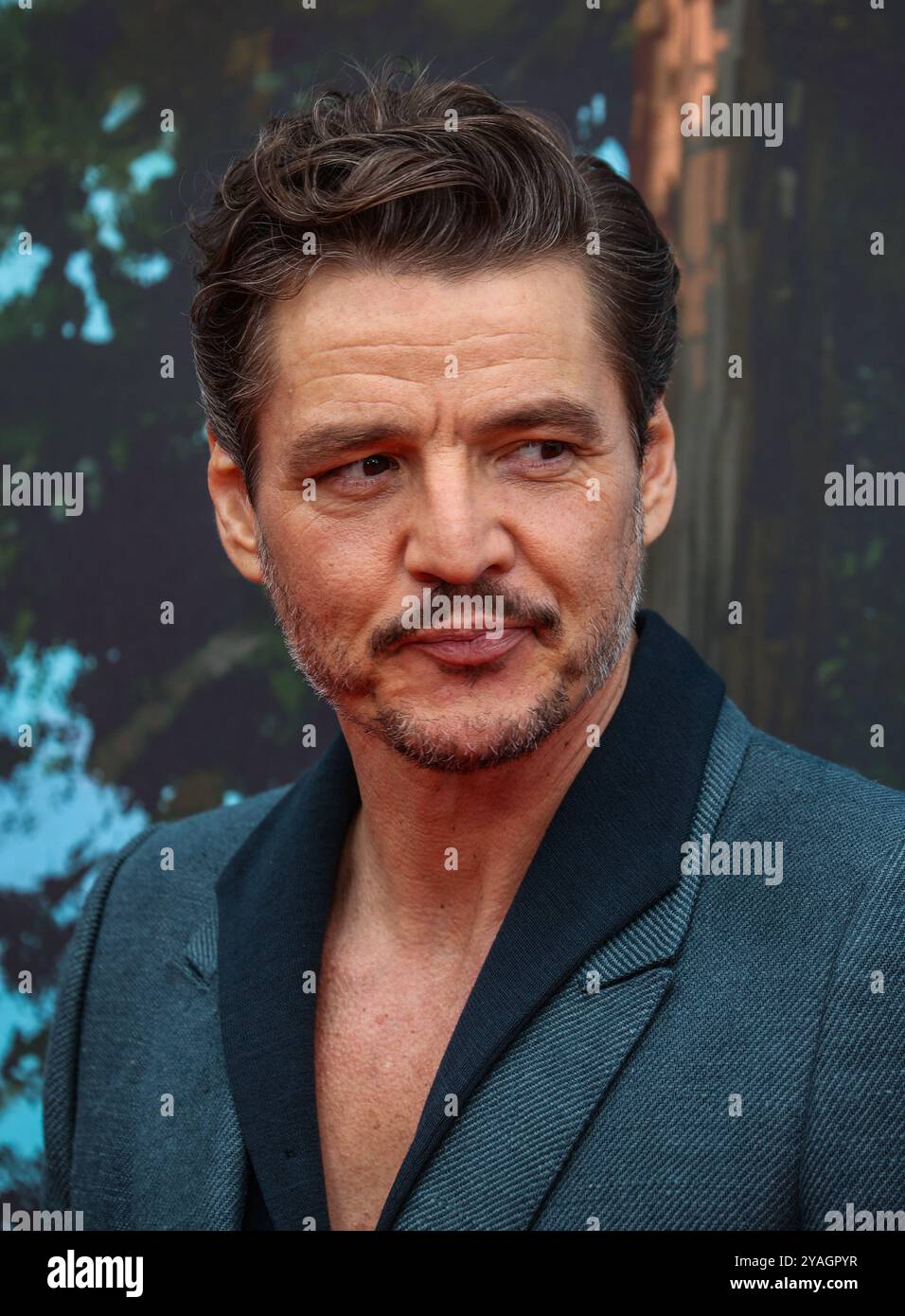 Londra, Regno Unito. 13 ottobre 2024. Pedro Pascal partecipa alla proiezione del BFI London Film Festival di "The Wild robot" alla Royal Festival Hall. Credito: SOPA Images Limited/Alamy Live News Foto Stock