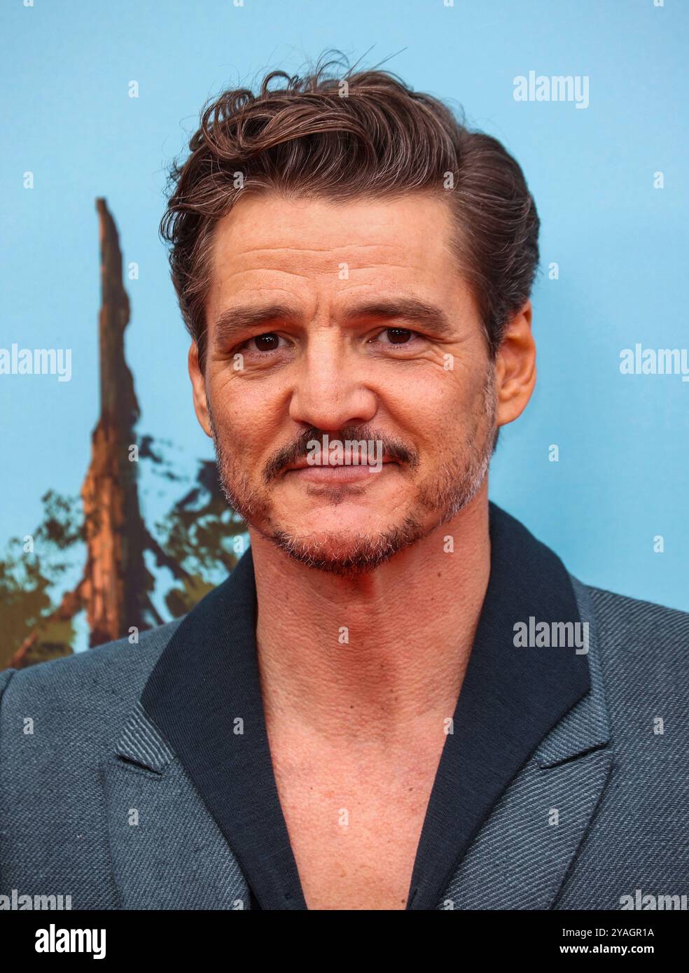 Londra, Regno Unito. 13 ottobre 2024. Pedro Pascal partecipa alla proiezione del BFI London Film Festival di "The Wild robot" alla Royal Festival Hall. Credito: SOPA Images Limited/Alamy Live News Foto Stock