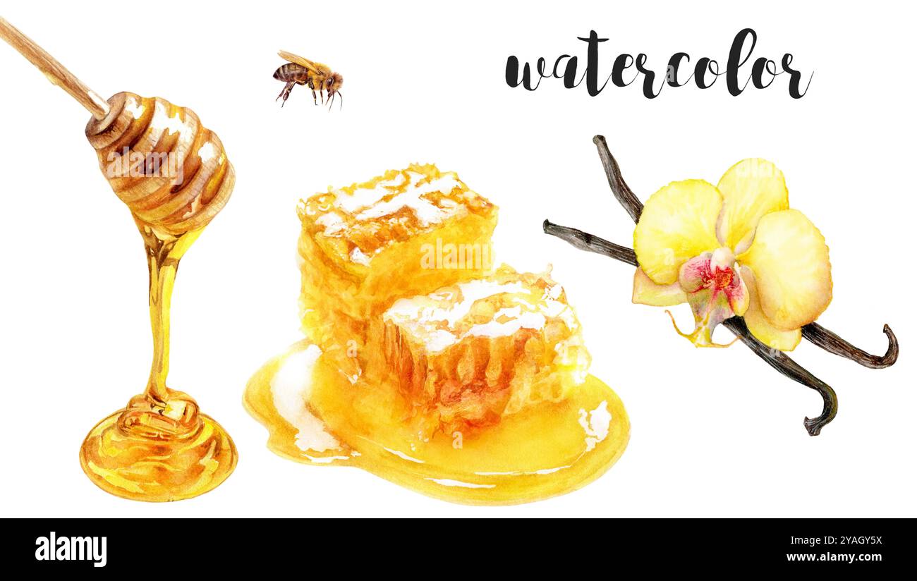 Nido d'acquerello dipinto a mano, bastoncino di miele gocciolante e cialde di vaniglia con illustrazione del fiore Foto Stock