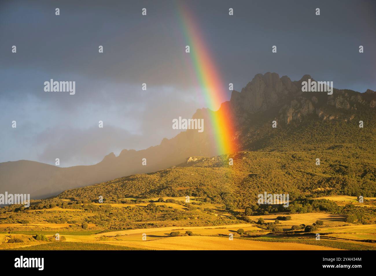 Arcobaleno su vigneti e montagne, LaGuardia, Rioja Alavesa, Spagna Foto Stock