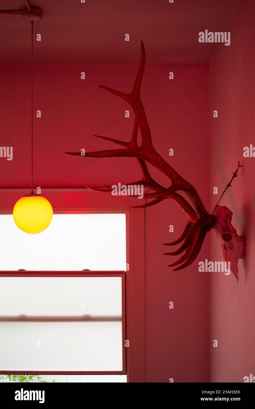 Teschio di cervo su una parete e luce appesa nella stanza rossa Foto Stock