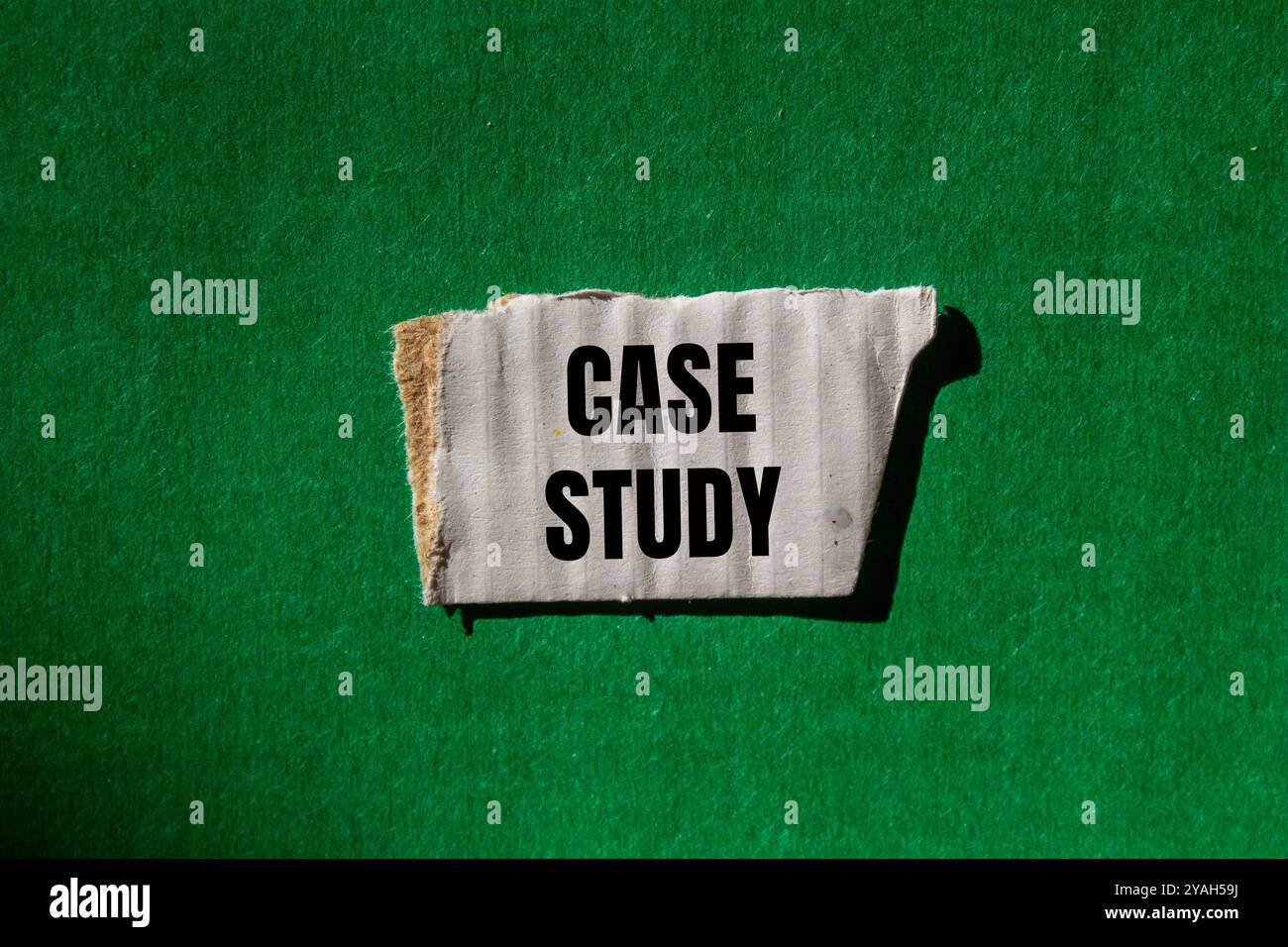 Messaggio del case study scritto su un pezzo di carta bianca strappato con sfondo verde. Simbolo del case study concettuale. Copia spazio. Foto Stock