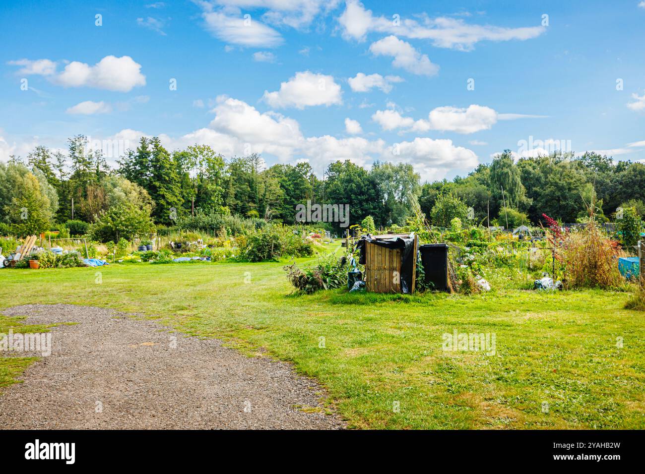 Compton Parish allotments (giardini comunitari), creato nel 1830, e capannoni a Compton, un villaggio nel Surrey, nel sud-est dell'Inghilterra Foto Stock