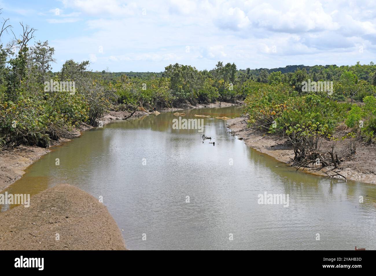 Fiume Sambirano con barriera ittica e vegetazione ripariale. Regione di Diana, Madagascar. Foto Stock