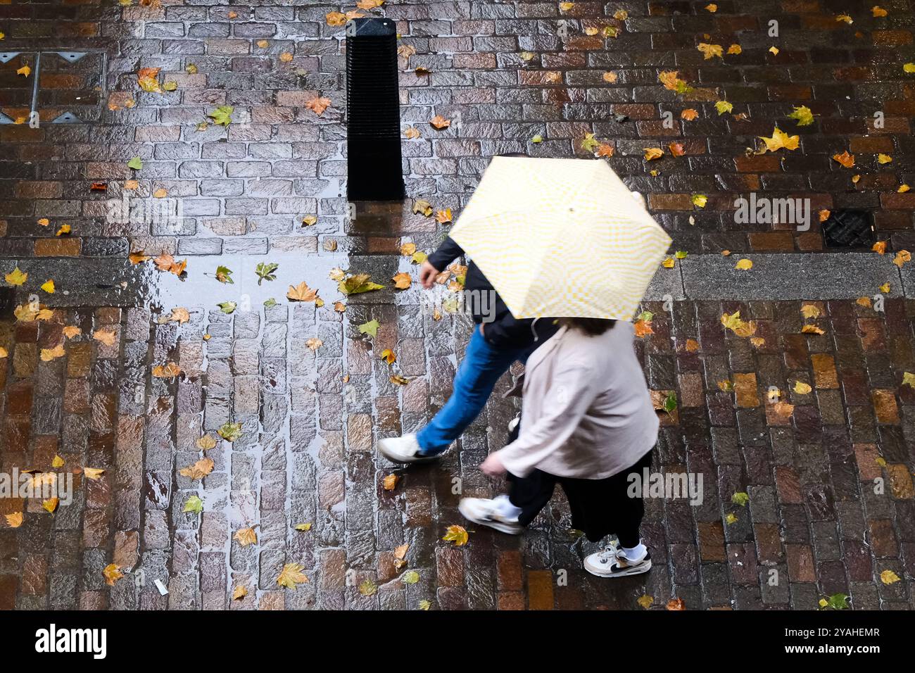 Londra, Regno Unito. 14 ottobre 2024. Meteo nel Regno Unito: Pioggia a Londra. Crediti: Matthew Chattle/Alamy Live News Foto Stock