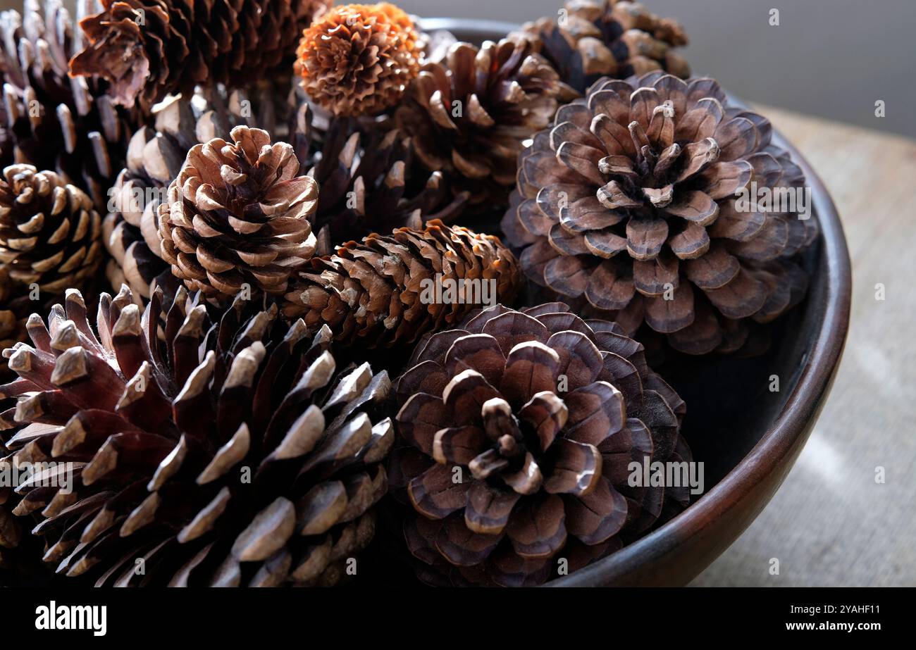 vari coni di pino in una ciotola di legno sul piano del tavolo Foto Stock