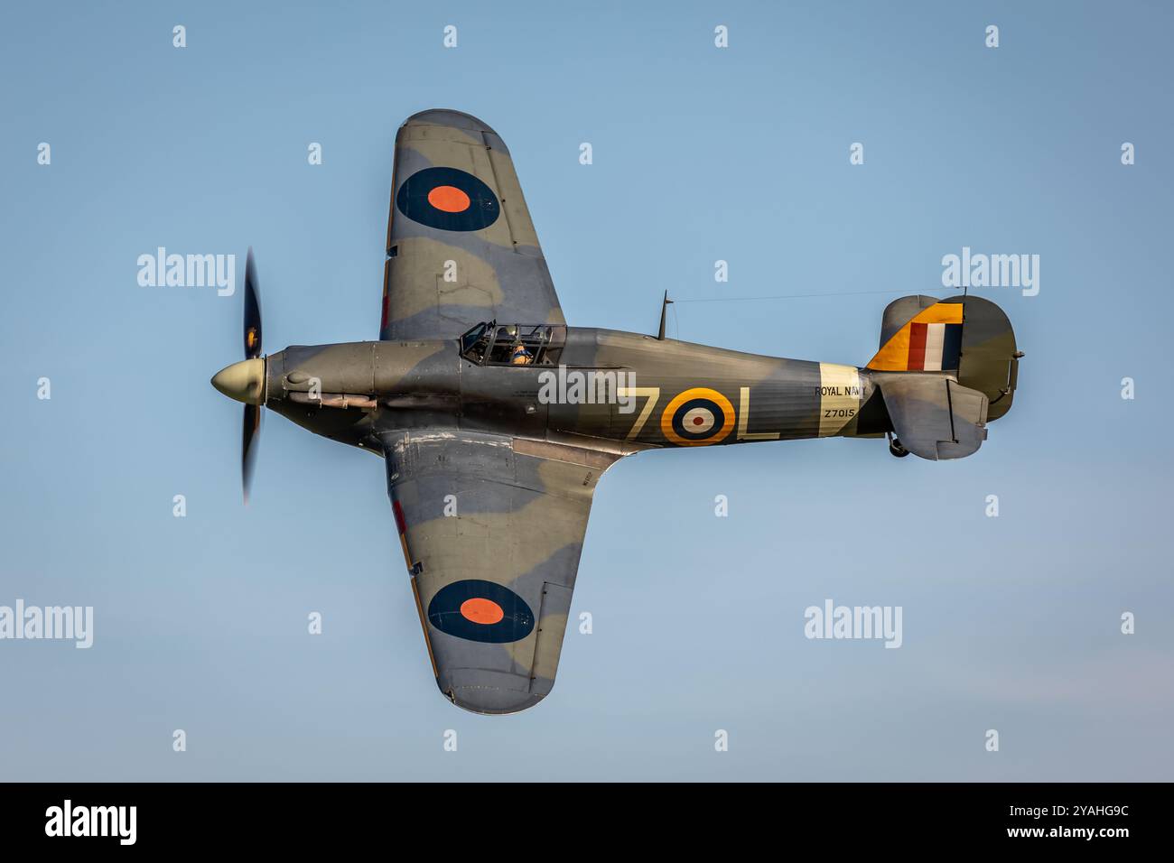 Hawker Sea Hurricane Mk IB "Z7015", Old Warden Airfield, Biggleswade, Bedfordshire, Inghilterra, REGNO UNITO Foto Stock