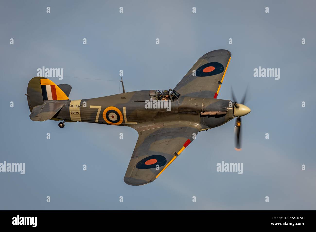 Hawker Sea Hurricane Mk 1b "Z7015", Old Warden Airfield, Biggleswade, Bedfordshire, Inghilterra, REGNO UNITO Foto Stock