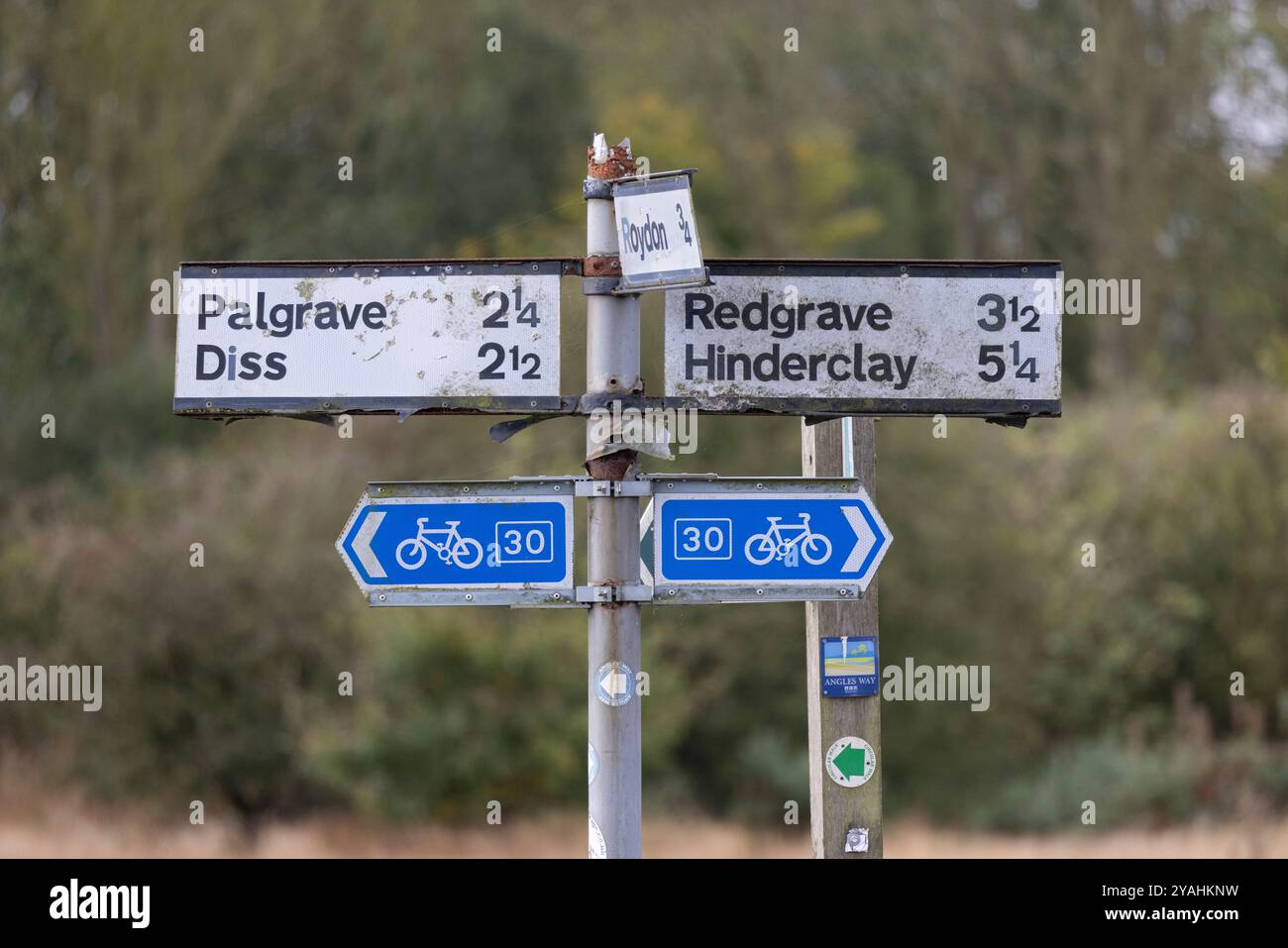 Wortham Ling 53 ettari sito di interesse scientifico speciale nel Suffolk, dove National Grid pianifica di costruire tralicci elettrici alti 50 metri, Inghilterra Foto Stock