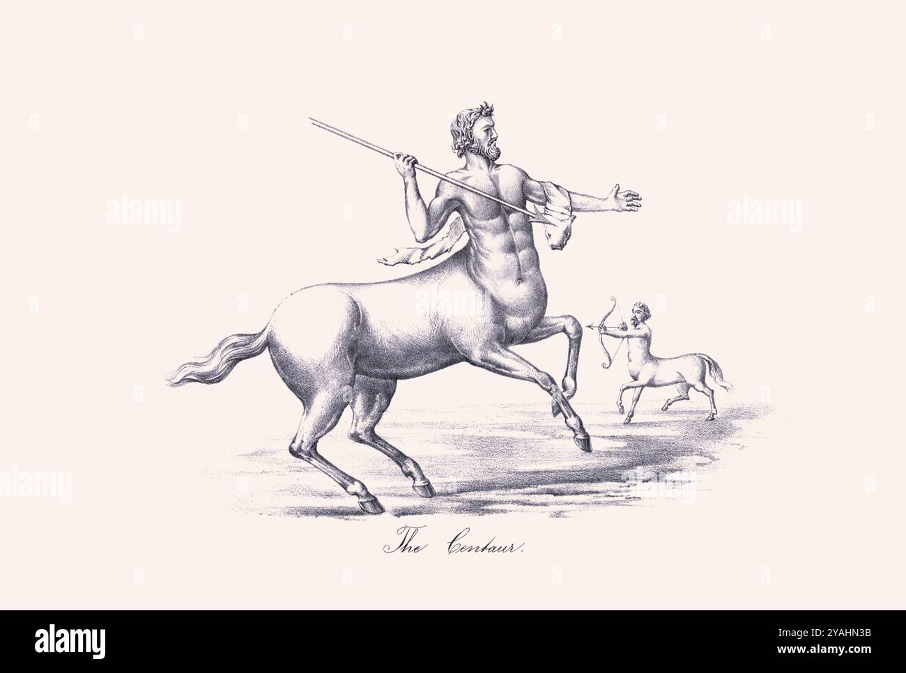 Illustrazione mitologica dei cavalli. piatto del xix secolo tratto da un libro sul trattato pratico sulla gestione umana del cavallo, che presenta un tema mitico Foto Stock