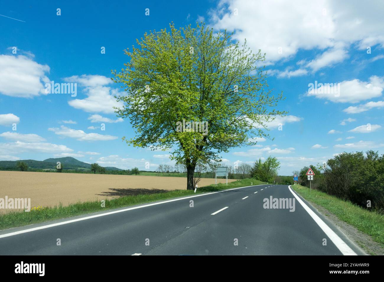 Albero in piedi sulla strada Spring Blue Sky Repubblica Ceca Foto Stock