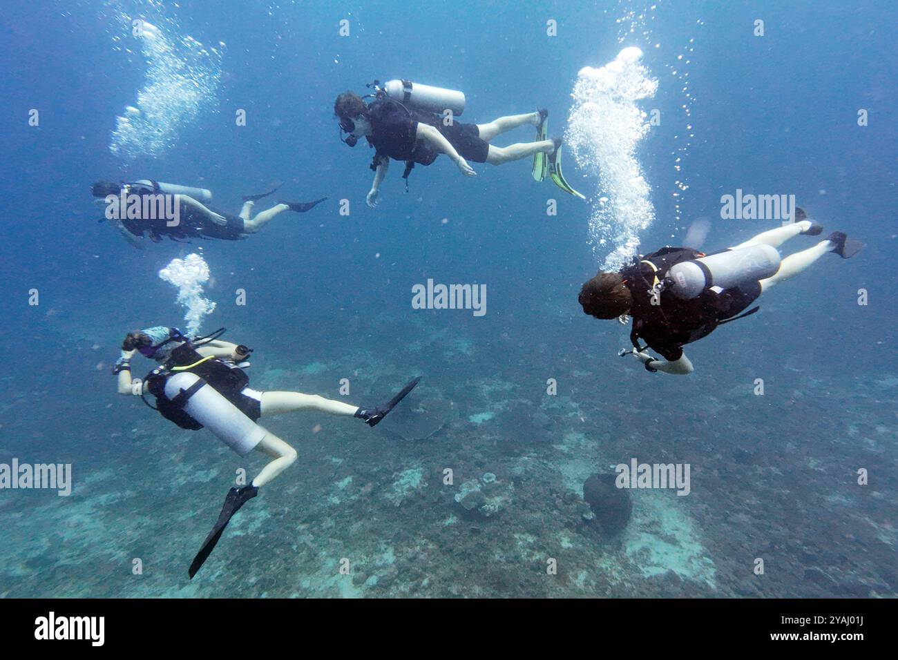 10.11.2023, Indonesia, Lombok, Gili Trawangan - uomini che si tuffano in mare. 00S231110D394CAROEX.JPG [VERSIONE MODELLO: NO, RILASCIO PROPRIETÀ: NO (c) immagine caro Foto Stock