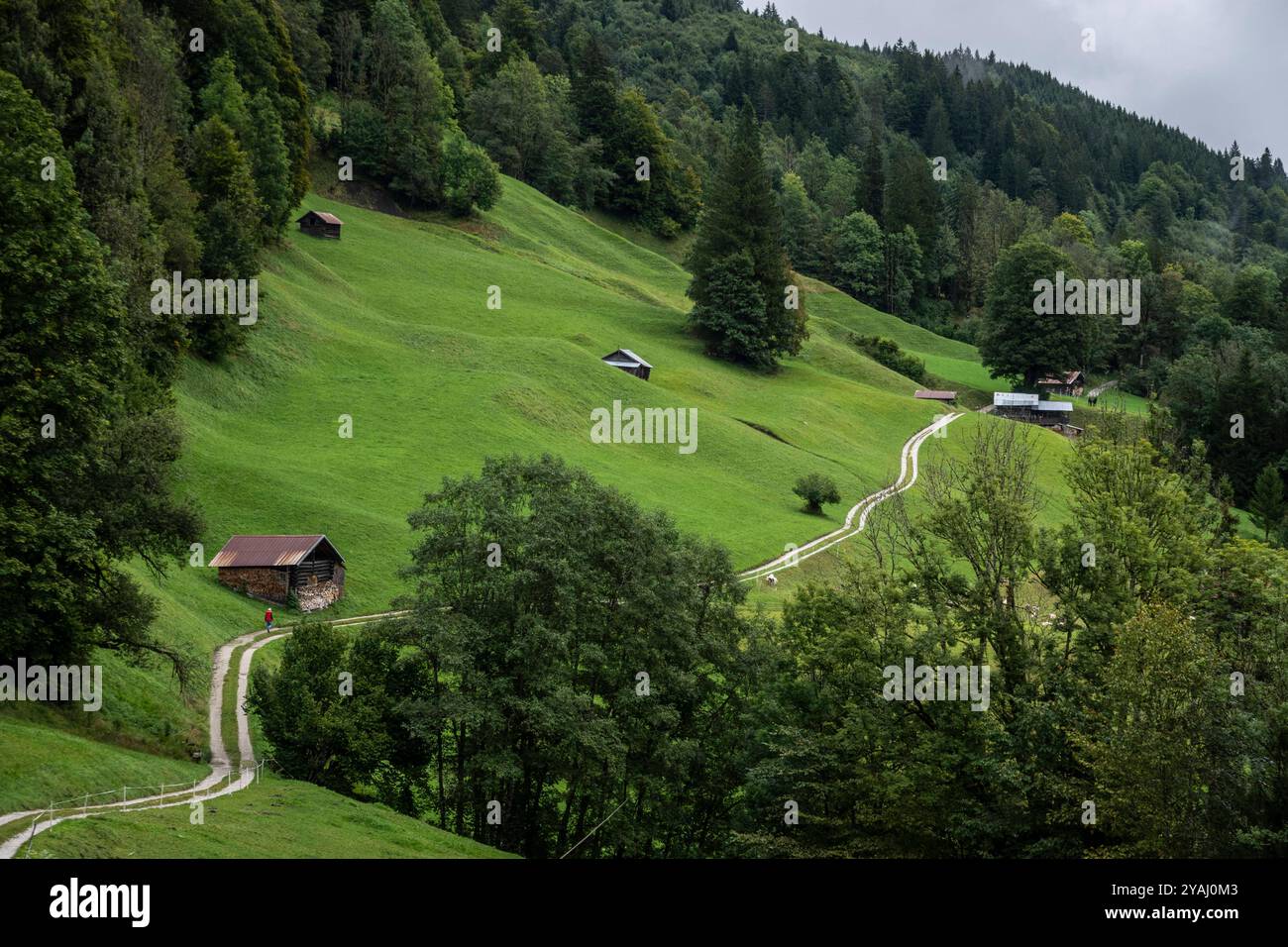 Natur pur: Wandern über Wiesen. - Sanft schlängelt sich ein Weg über Wiesen und durch Wälder unweit der Partnachklamm südlich von Garmisch-Partenkirch Foto Stock