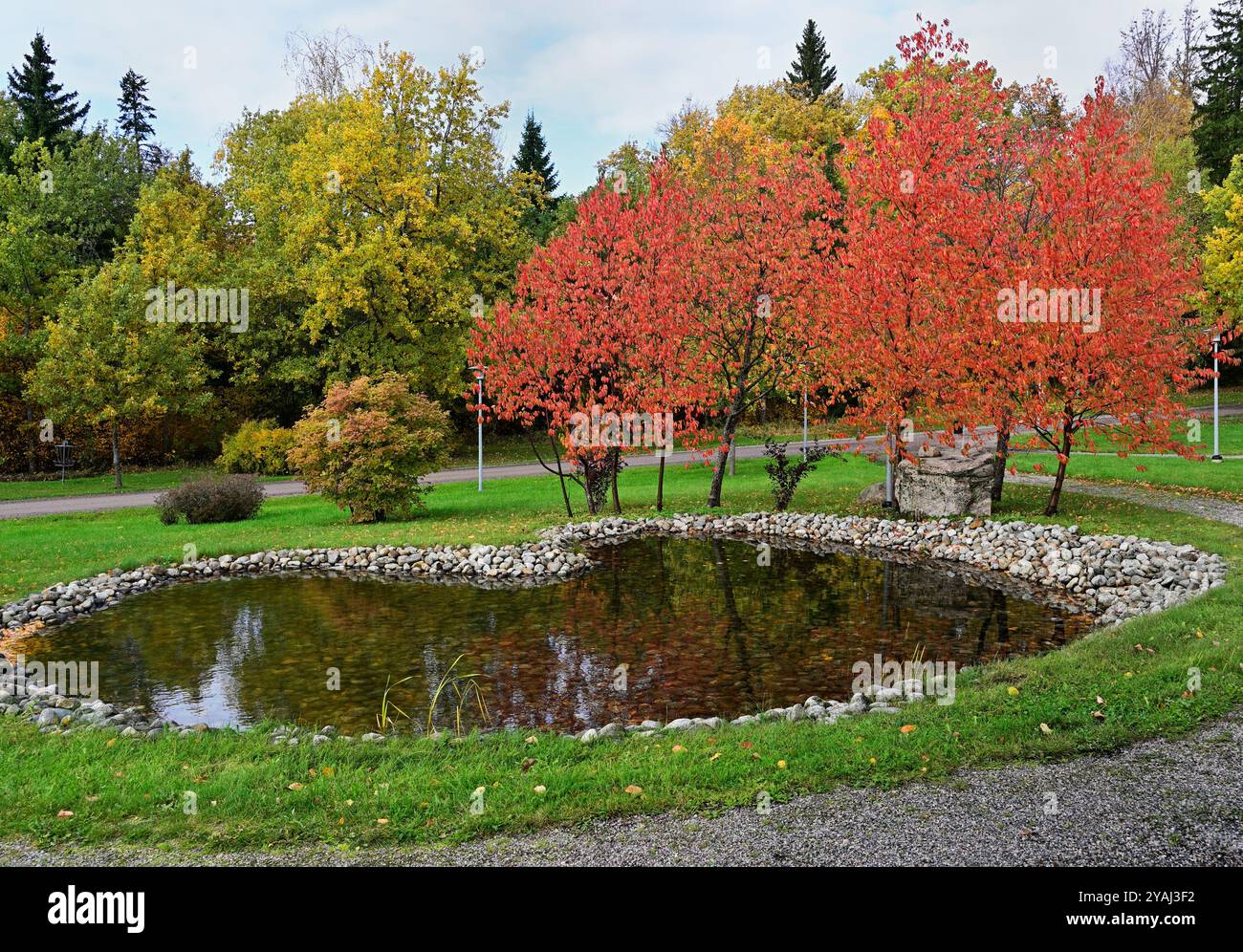 Questa vivace scena autunnale cattura un piccolo laghetto riflettente circondato da alberi colorati in un parco ben tenuto. Il fogliame mostra una commovente Foto Stock