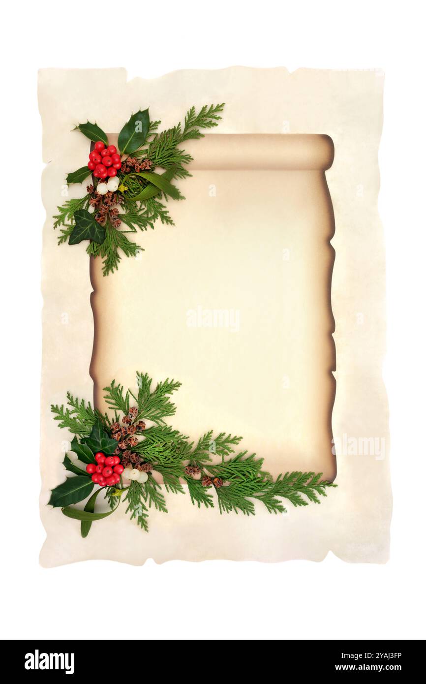 Rotolo di carta in pergamena natalizia per l'invito alla festa o lettera di babbo natale con agnello di bacche rosse, mietitura, vivace vegetazione invernale. Design retrò Foto Stock