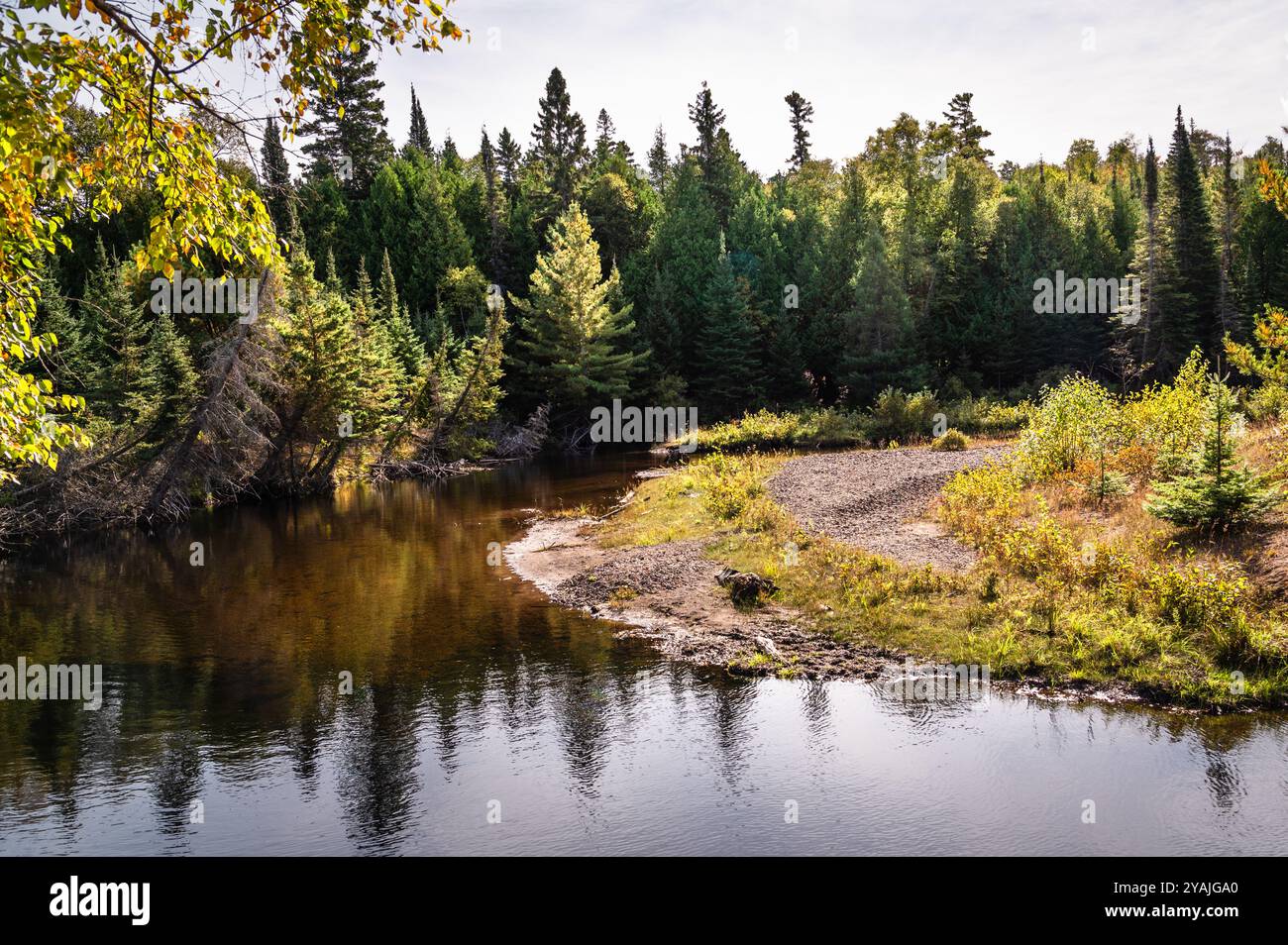 Il fiume si piega attraverso la foresta in autunno Foto Stock