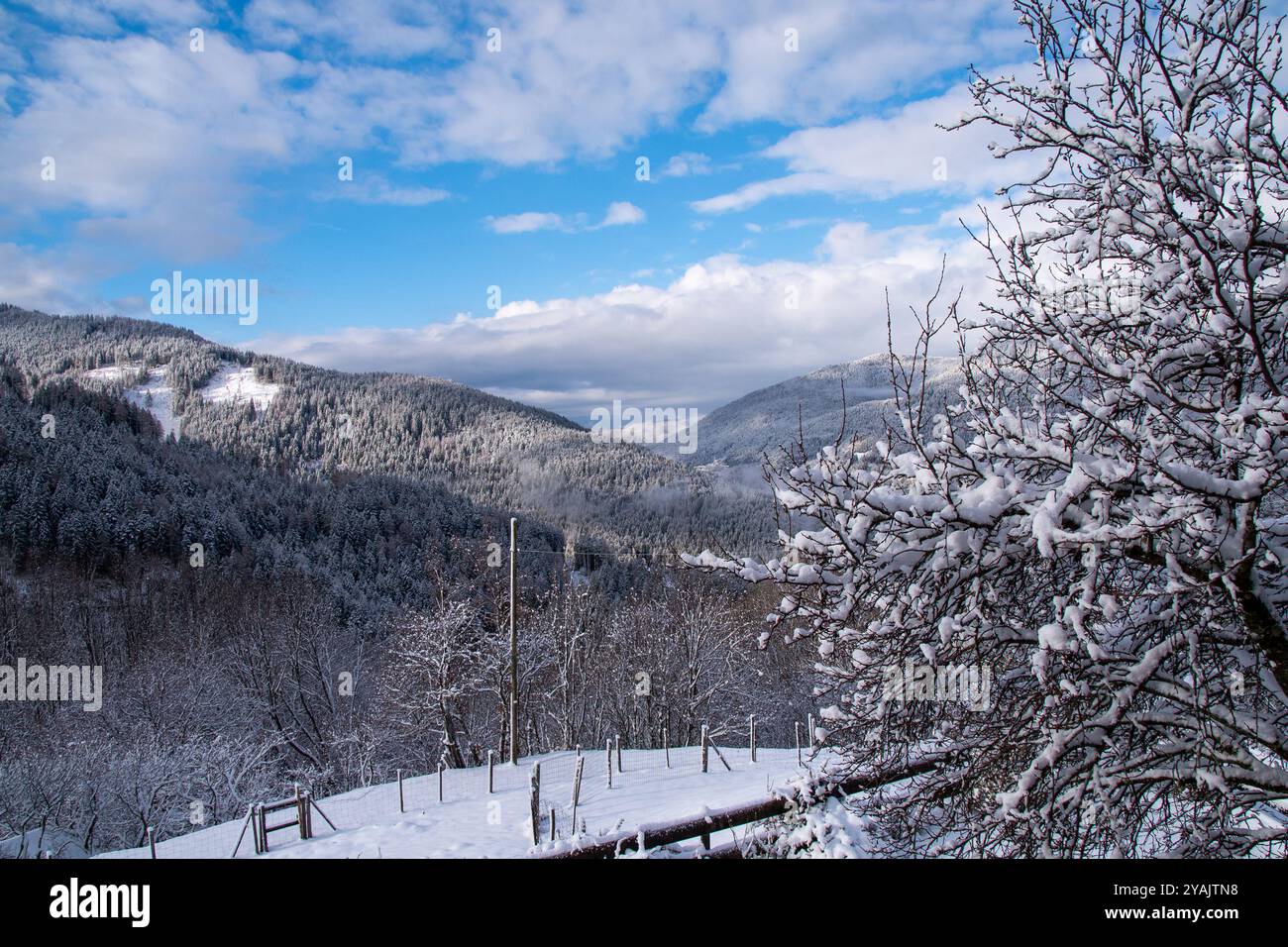Paesaggio innevato con alberi e cielo azzurro in montagna, Trentino Foto Stock