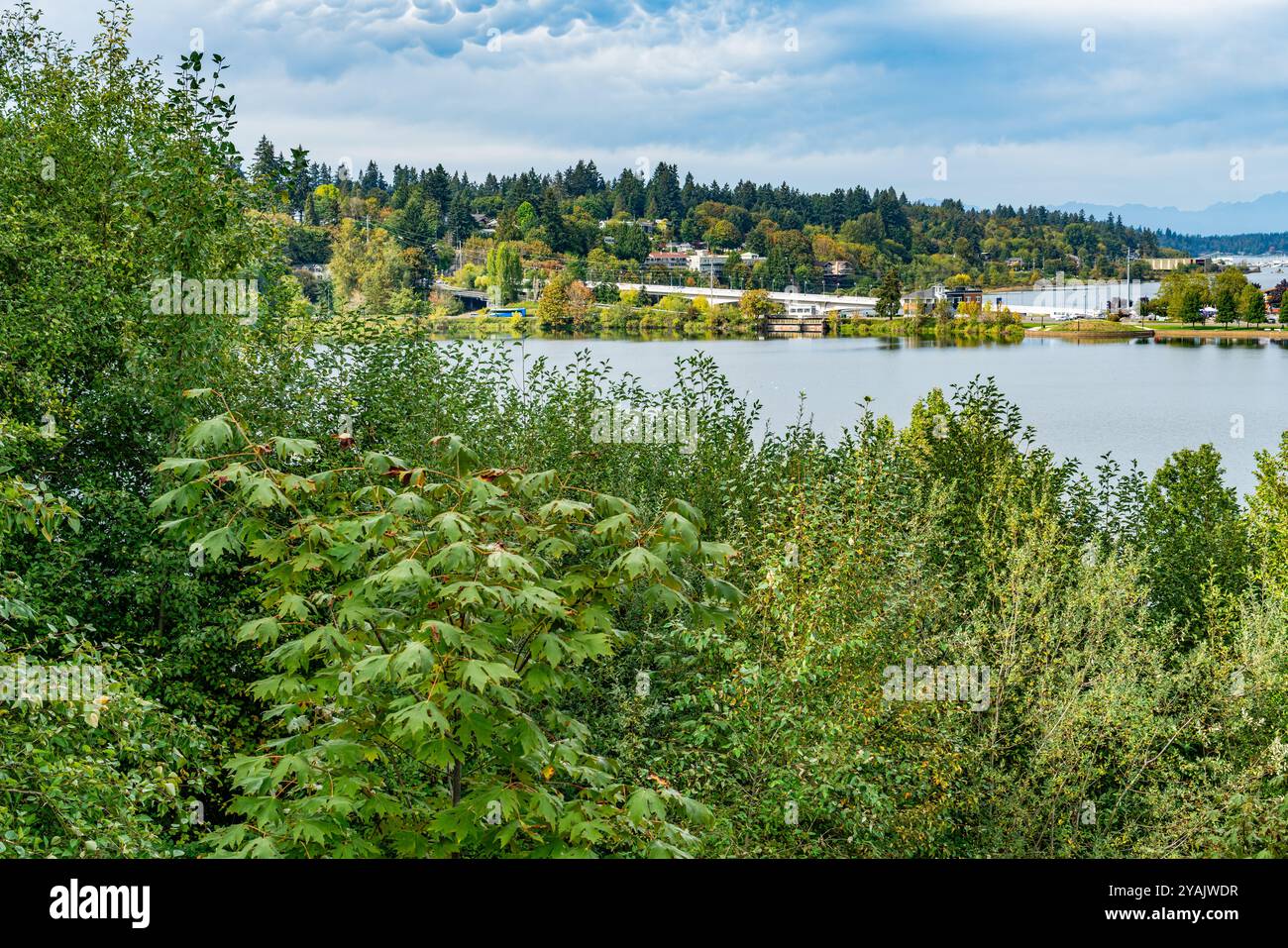 Una vista del Capitol Lake a Olympia, Washington. Foto Stock