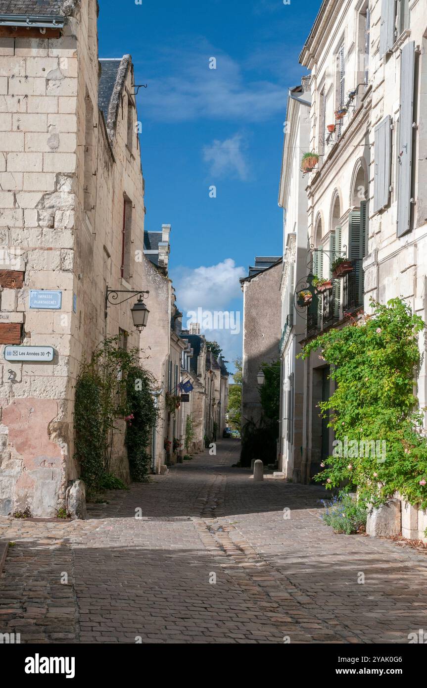 Strada nella città medievale di Chinon, Loire-Anjou-Touraine Parco Naturale Regionale, Valle della Loira elencato come Patrimonio Mondiale dell'UNESCO, Indre et Loire ( Foto Stock