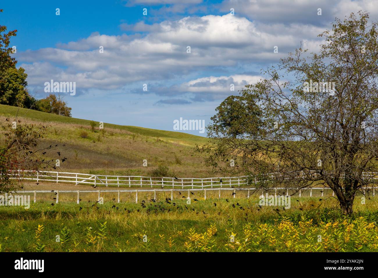 Bucolico paesaggio di fine settembre nella contea di Columbia, Hudson Valley dello stato di New York, Stati Uniti. Foto Stock