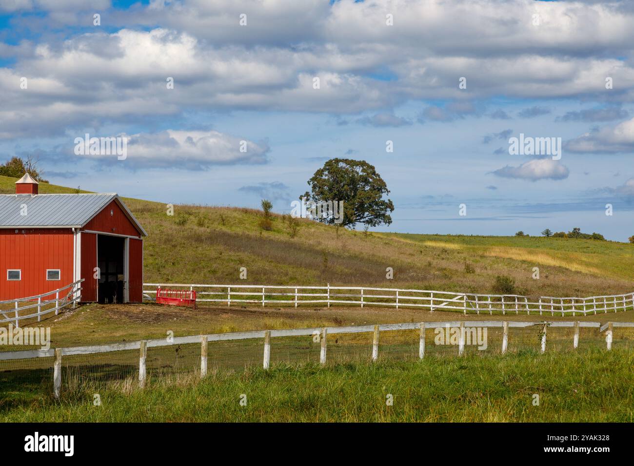 Bucolico paesaggio di fine settembre nella contea di Columbia, Hudson Valley dello stato di New York, Stati Uniti. Foto Stock