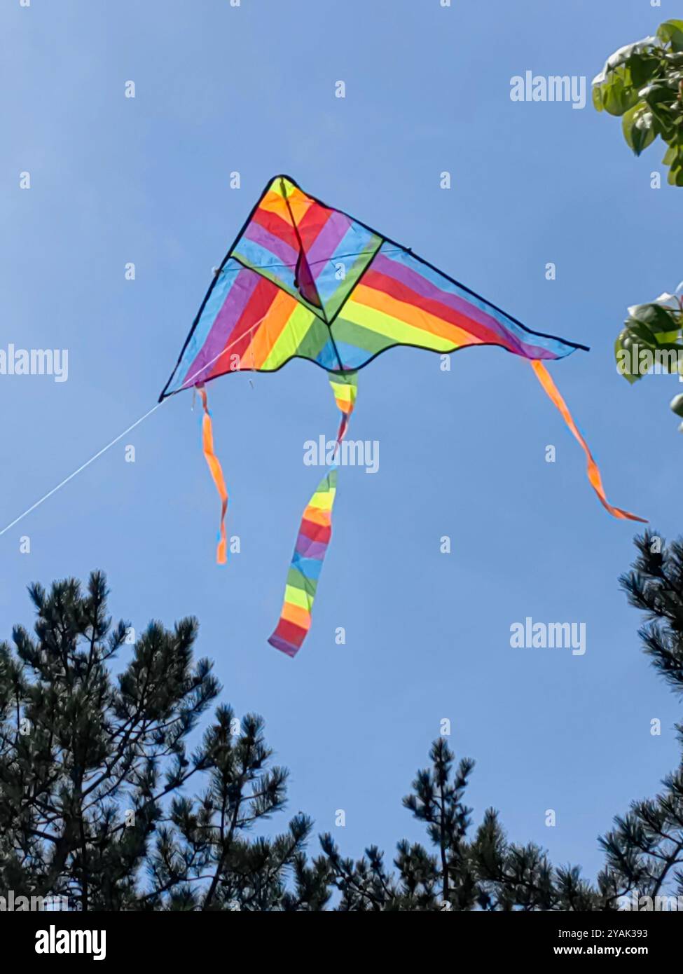 Soaring Memories: The Kite of Childhood Foto Stock