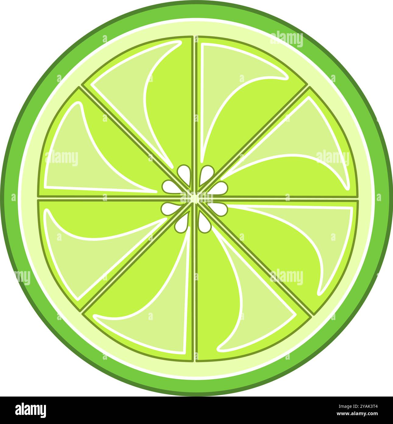 Illustrazione delle fette di frutta al lime. Immagine vettoriale piatta delle fette di agrumi di lime Illustrazione Vettoriale