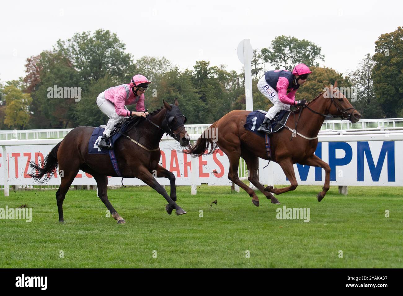 Windsor, Berkshire, Regno Unito. 14 ottobre 2024. BAMA LAMA guidato dal fantino Oliver Searle vince il ritorno della Jump Racing, Windsor 15 dicembre handicap Stakes (Classe 6) alla finale di Flat Season al Royal Windsor Racecourse di Windsor, Berkshire. Proprietario e allevatore Cainsbay Bloodstock, Trainer Road Millman, Cullompton, Sponsor Millman Racing Club, Rod Millman Racing Ltd, Fleetwood Developments Ltd Crediti: Maureen McLean/Alamy Live News Foto Stock