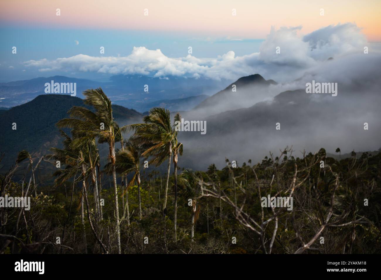 Vista all'alba della Sierra Nevada de Santa Marta, montagne, tra cui Cerro Kennedy, noto anche come "la Cuchillo de San Lorenzo", Colombia Foto Stock