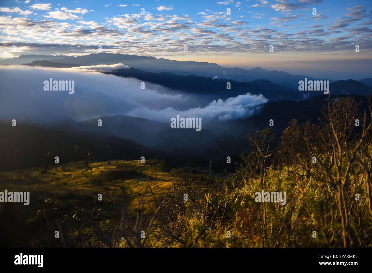 Vista all'alba della Sierra Nevada de Santa Marta, montagne, tra cui Cerro Kennedy, noto anche come "la Cuchillo de San Lorenzo", Colombia Foto Stock