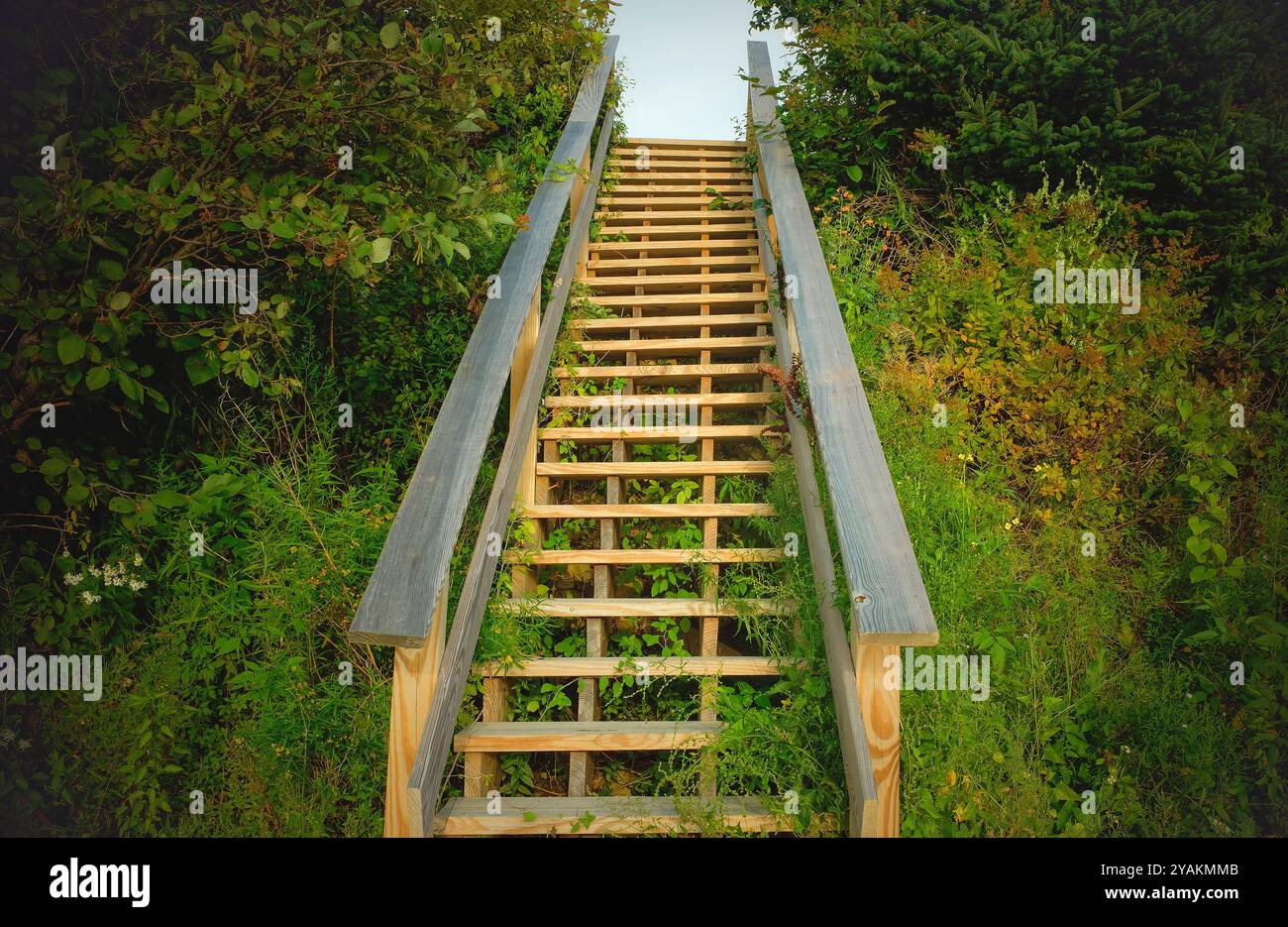 Vista ad angolo basso della scala di legno sulla spiaggia Foto Stock