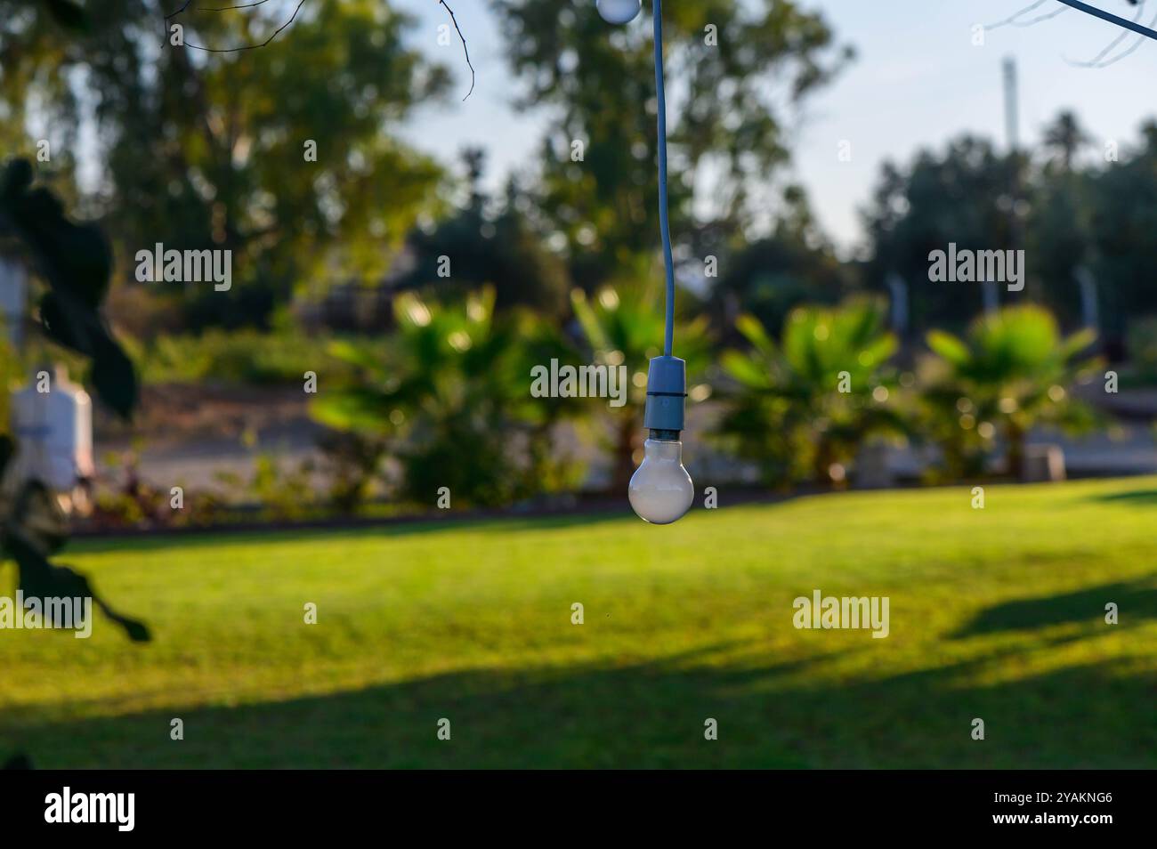 Una lampadina pende da un cavo in un giardino sereno pieno di vegetazione lussureggiante, che getta ombre morbide mentre il sole tramonta sullo sfondo, creando un caldo Foto Stock