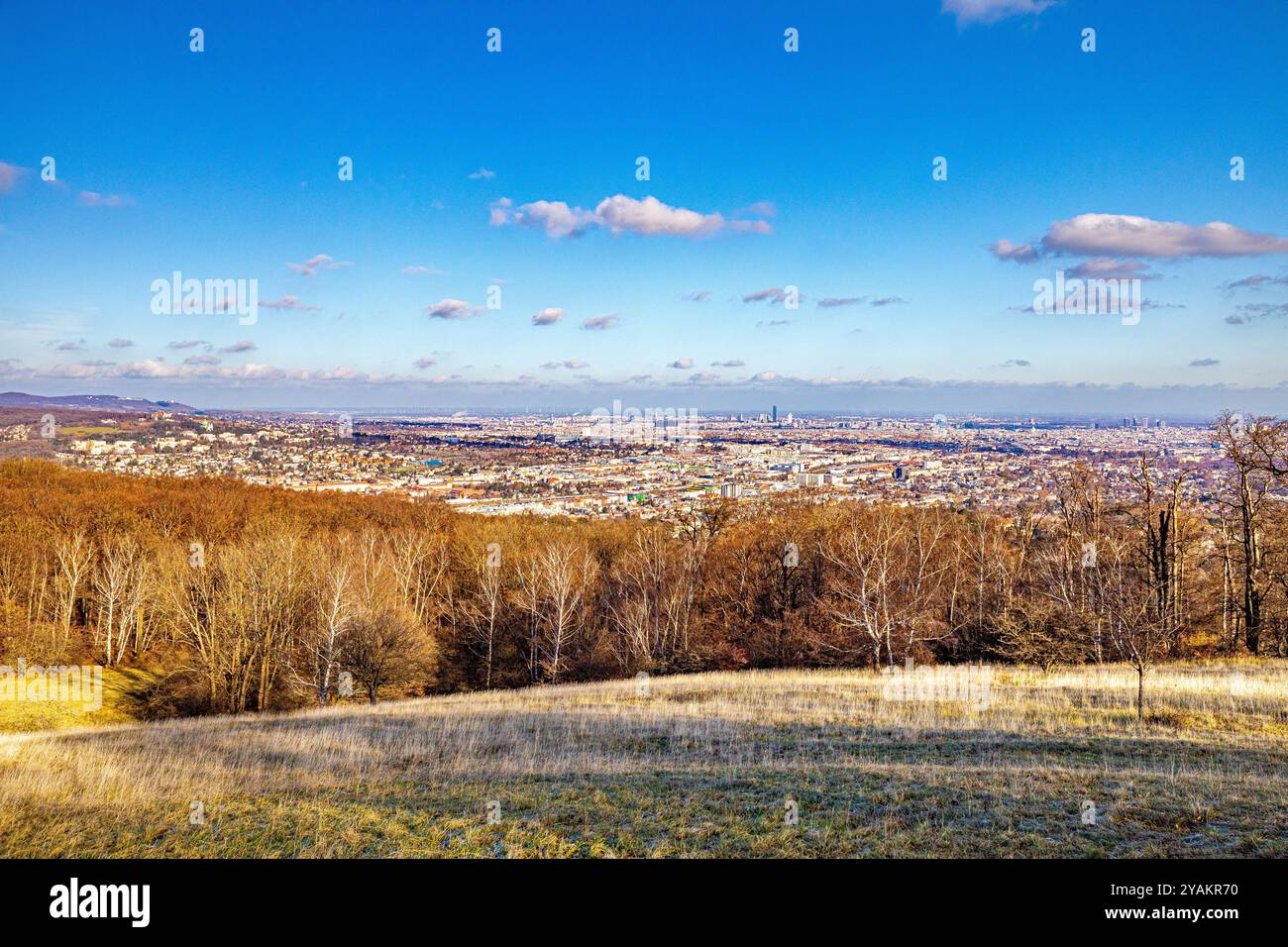 Lainzer Tiergarten, Lainzer Animal Garden, Hermes Villa Foto Stock