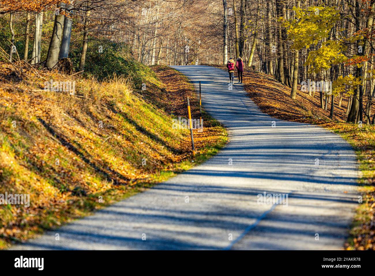 Lainzer Tiergarten, Lainzer Animal Garden, Hermes Villa Foto Stock