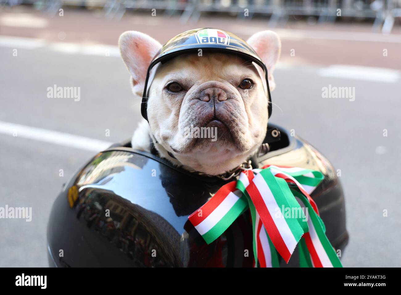 Una donna in sella a uno scooter italiano ha il suo cane Rosie cavalca sulla 5th Avenue nella Columbus Day Parade di New York, lunedì 14 ottobre 2024. (Foto: Gordon Donovan) Foto Stock