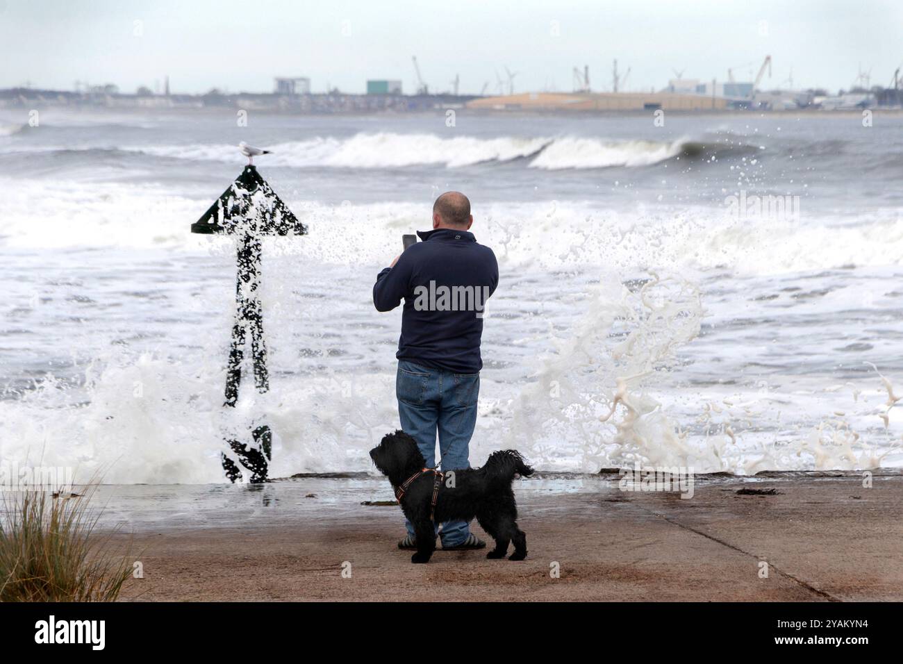 uomo con cane che fotografa il gabbiano e le onde che si infrangono schizzi congelati catturati dalla macchina fotografica presso la spiaggia del porto di seaton, nel northumberland, regno unito Foto Stock