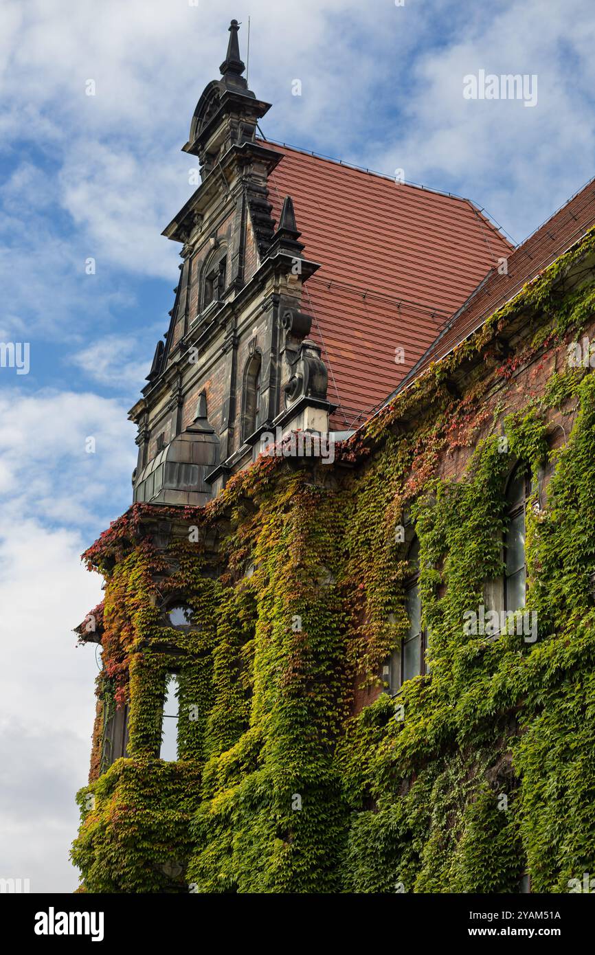 Storico edificio coperto di edera con facciata ornata e tetto di tegole rosse in una giornata di sole con cielo blu Foto Stock