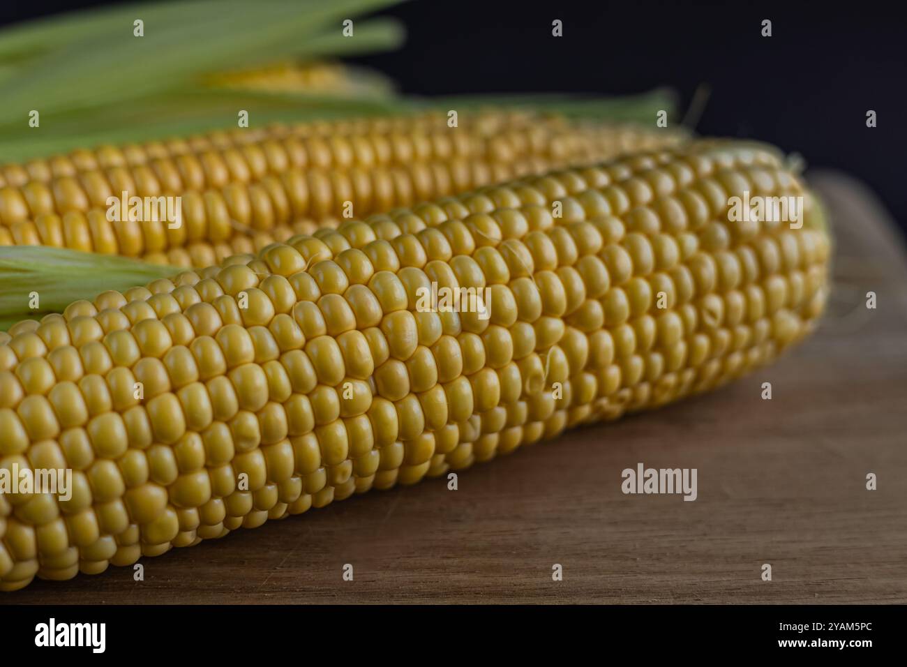 Macro shot di granturco giallo maturo sulla pannocchia con bucce, evidenziando la consistenza naturale e la freschezza per cibi biologici e concetti di alimentazione sana Foto Stock