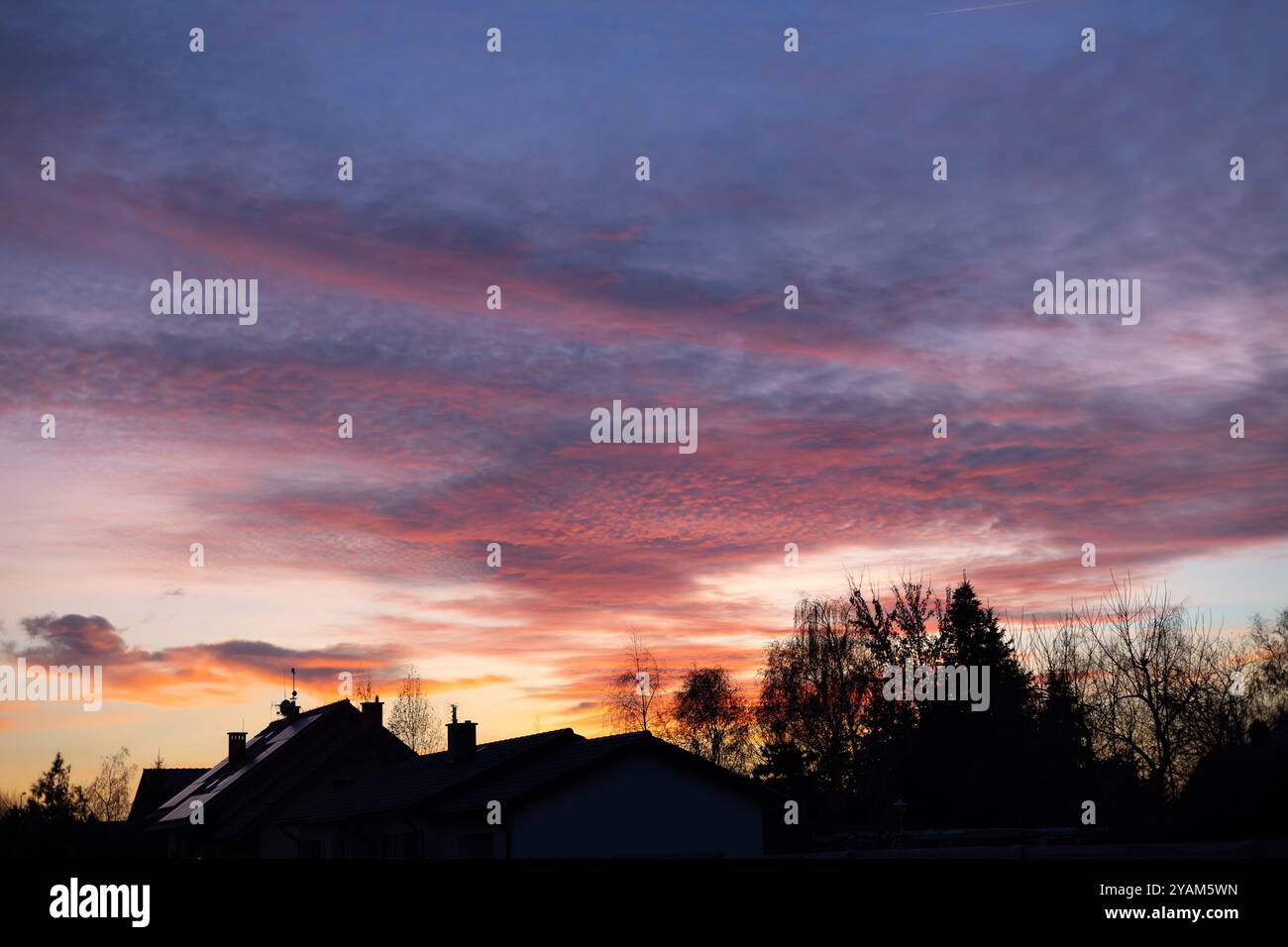 Splendido tramonto sui tetti suburbani con nuvole rosa e viola e alberi sagomati. Concetto di serate tranquille e cielo colorato Foto Stock