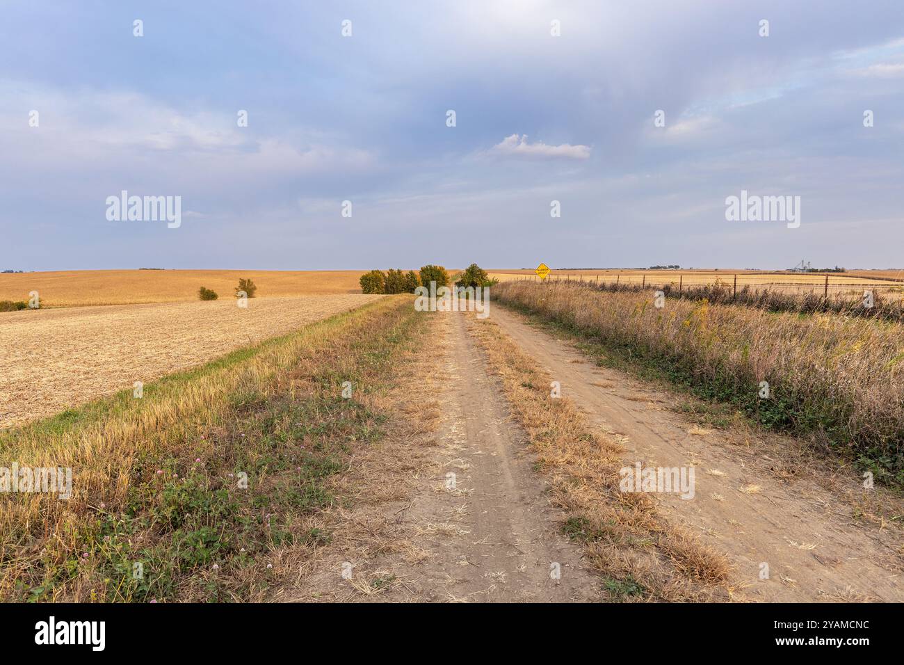 Il crepuscolo autunnale sui campi agricoli e su una strada sterrata di livello B non asfaltata vicino a Mechanicsville, Iowa. Foto Stock