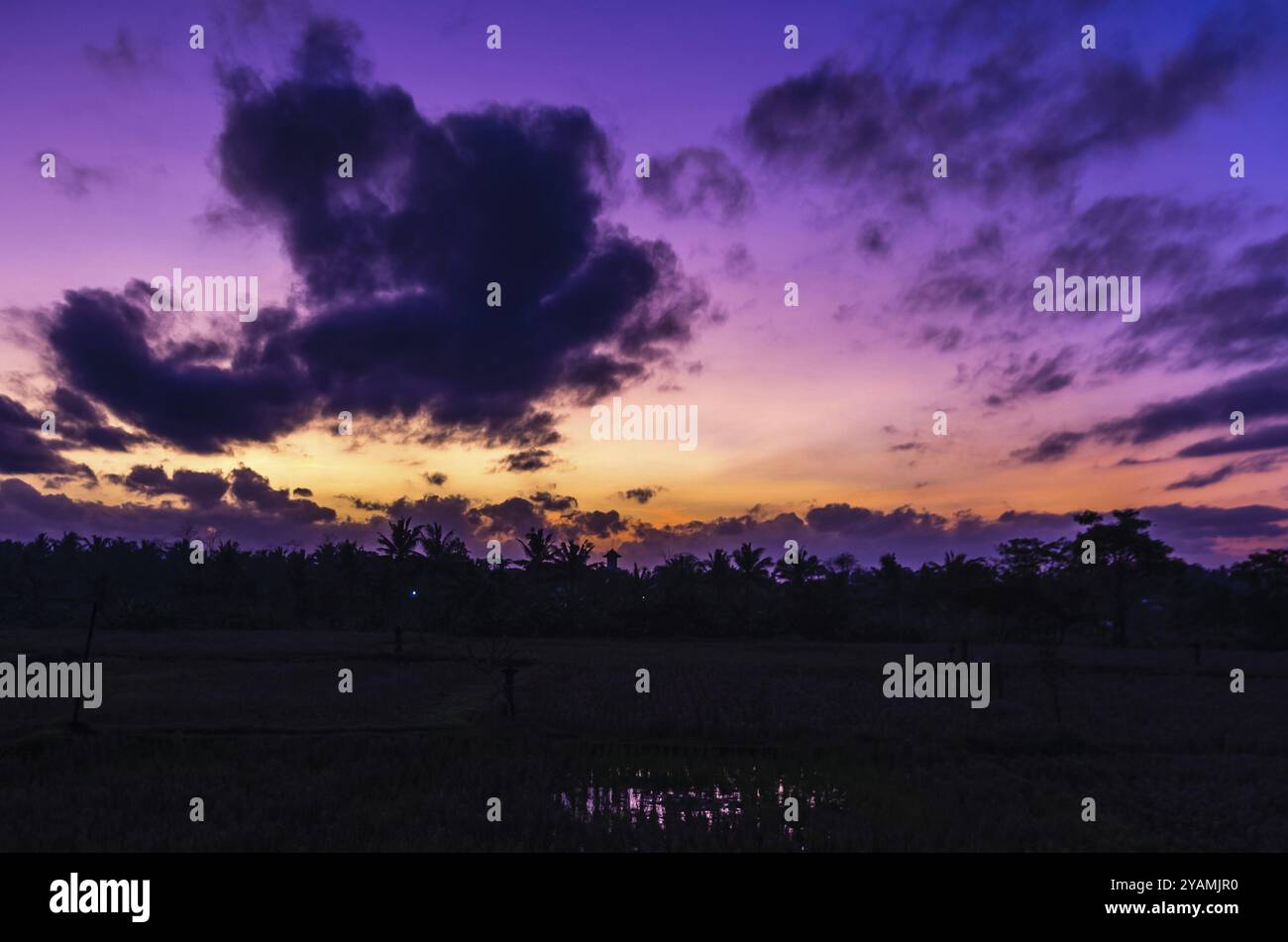 Incredibile vista dell'alba sul cielo e sulla giungla a Ubud, Bali, Indonesia, Asia Foto Stock