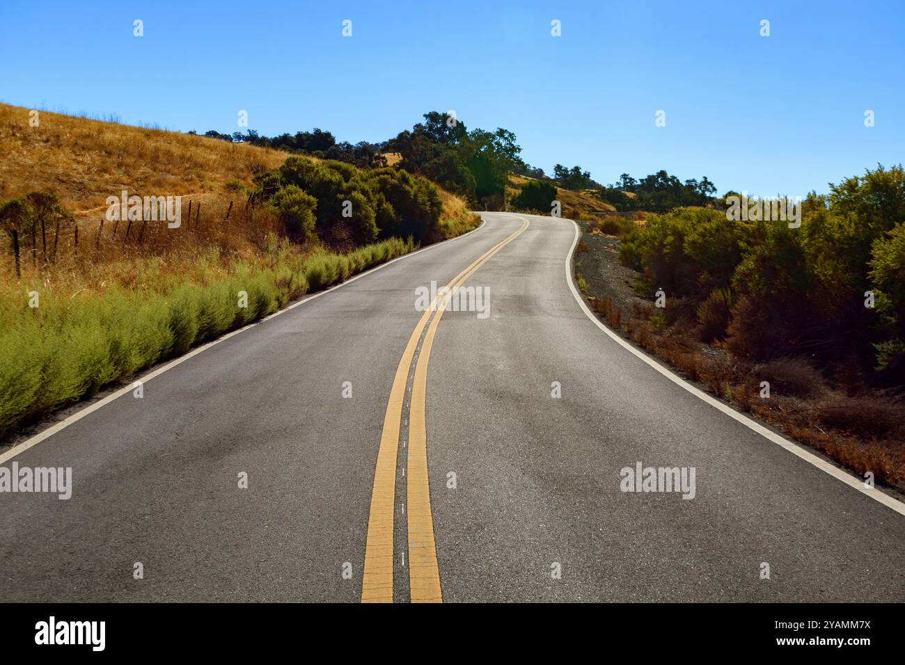 MT. Hamilton Road si snoda attraverso un paesaggio rurale asciutto con colline erbose e cespugli sotto un cielo azzurro. Foto Stock