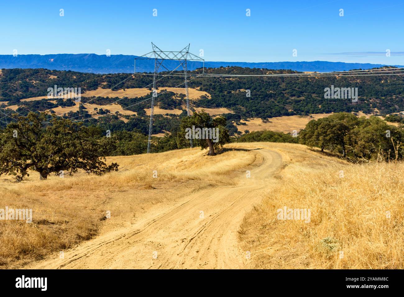 Una strada sterrata si snoda attraverso le colline dorate del Joseph D. Grant County Park, con torreggianti linee elettriche che si estendono attraverso il paesaggio panoramico e distan Foto Stock