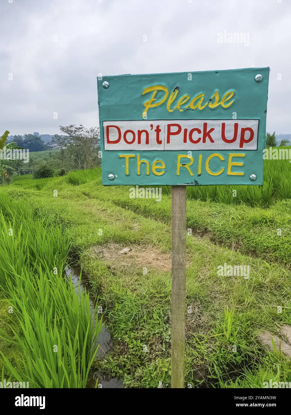 Vista ravvicinata sul cartello sulle risaie a terrazza Jatiluwih, Bali, Indonesia, Asia Foto Stock