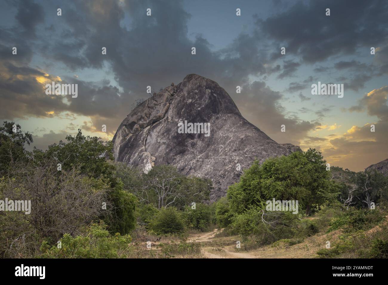 La più antica riserva naturale in un paesaggio fantastico. Ambiente naturale al mattino all'alba. Natura pura nel paesaggio steppico della Nazione Yala Foto Stock