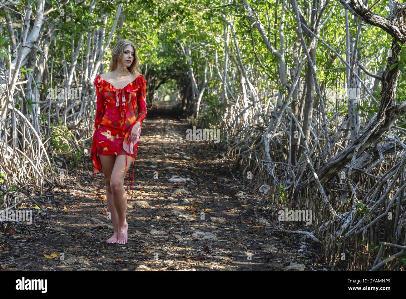 Lo splendido modello abbellisce i campi di mangrovie del Messico centrale in una pittoresca posizione di vacanza, mescolando bellezza naturale e ambiente tranquillo Foto Stock