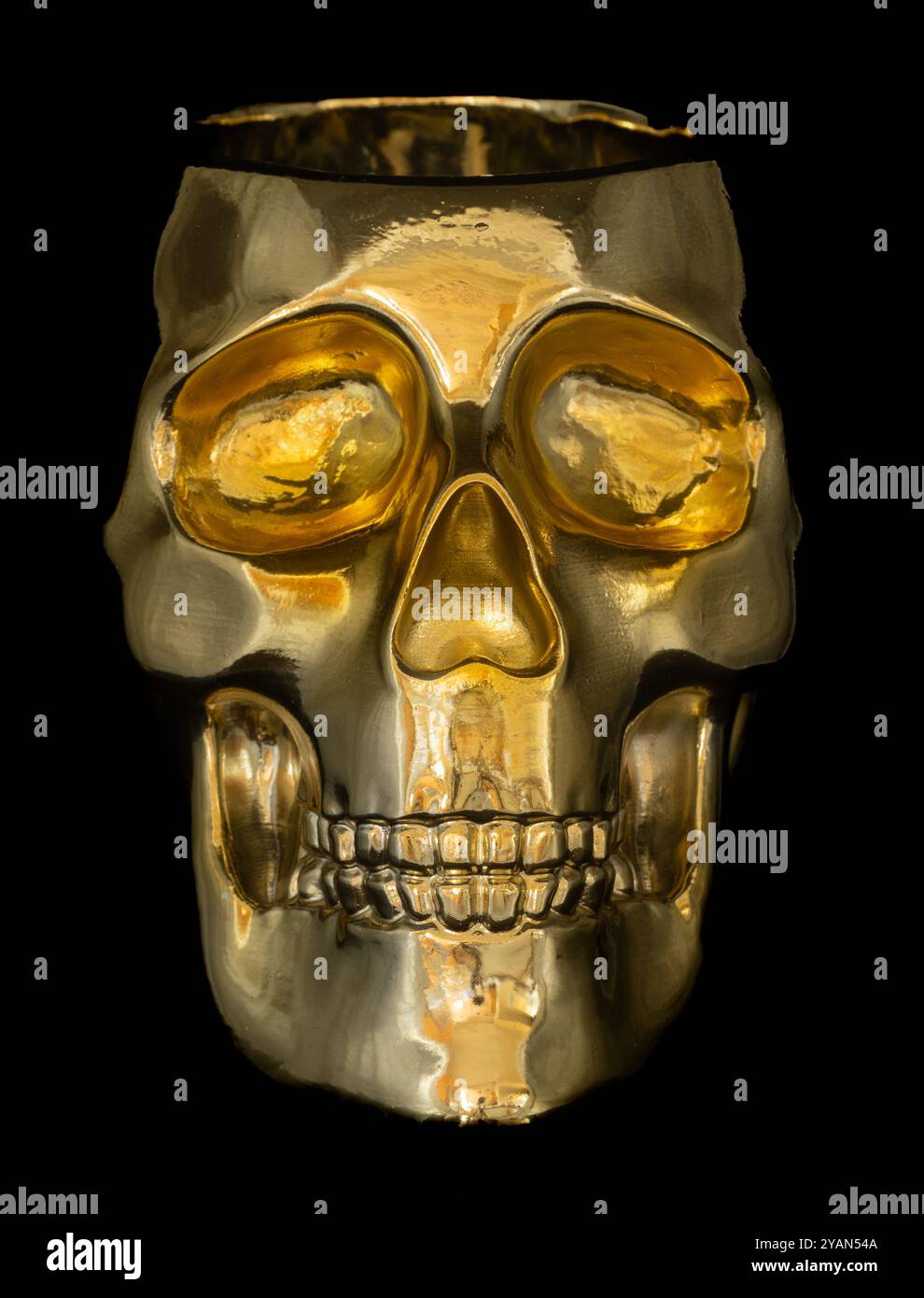Piantatrice a teschio metallizzato oro isolata su sfondo nero. Foto Stock