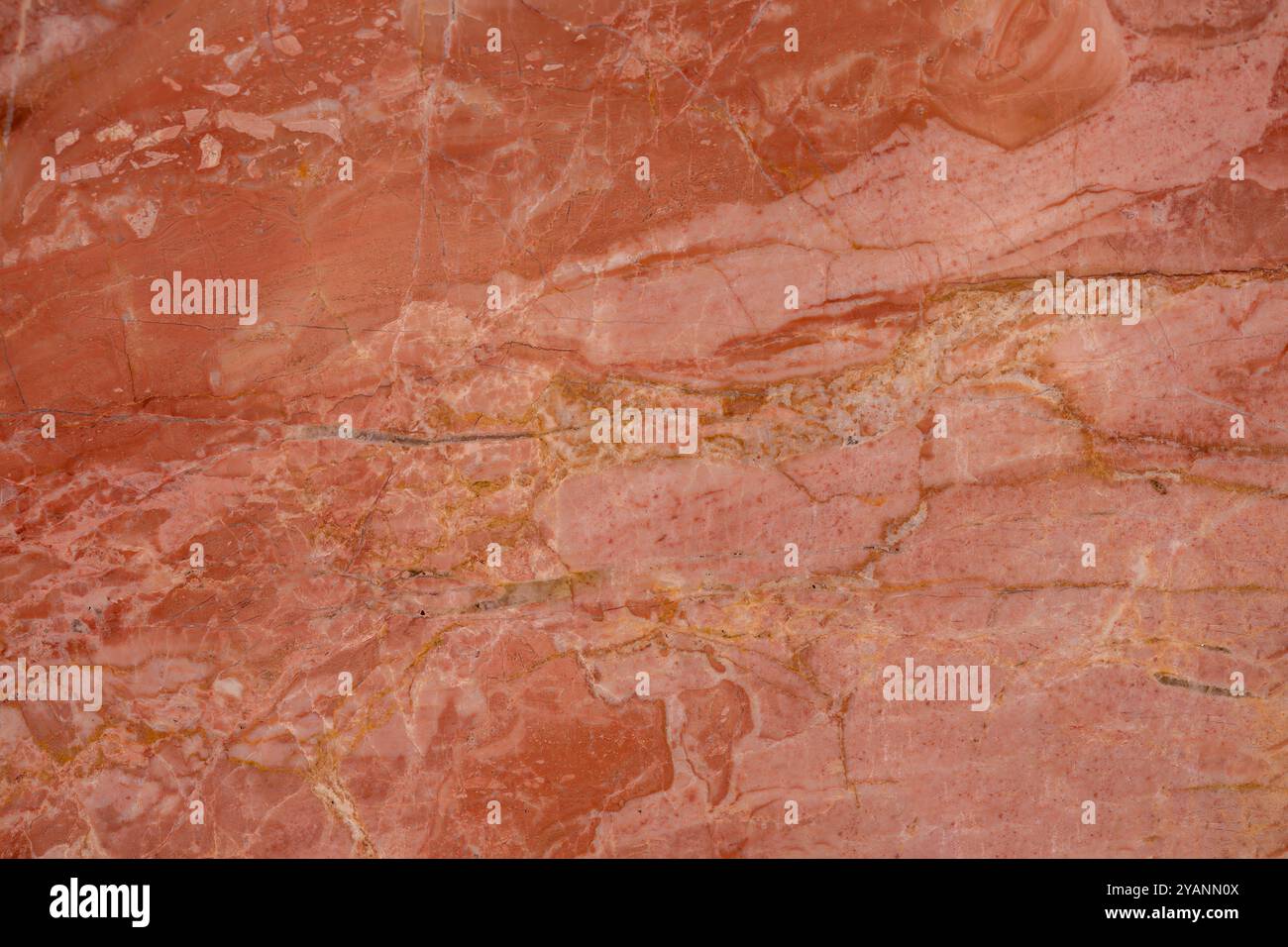 Ricca superficie in marmo rosso con venature dorate, che offre una texture lussuosa per un decor di alto livello. Foto Stock
